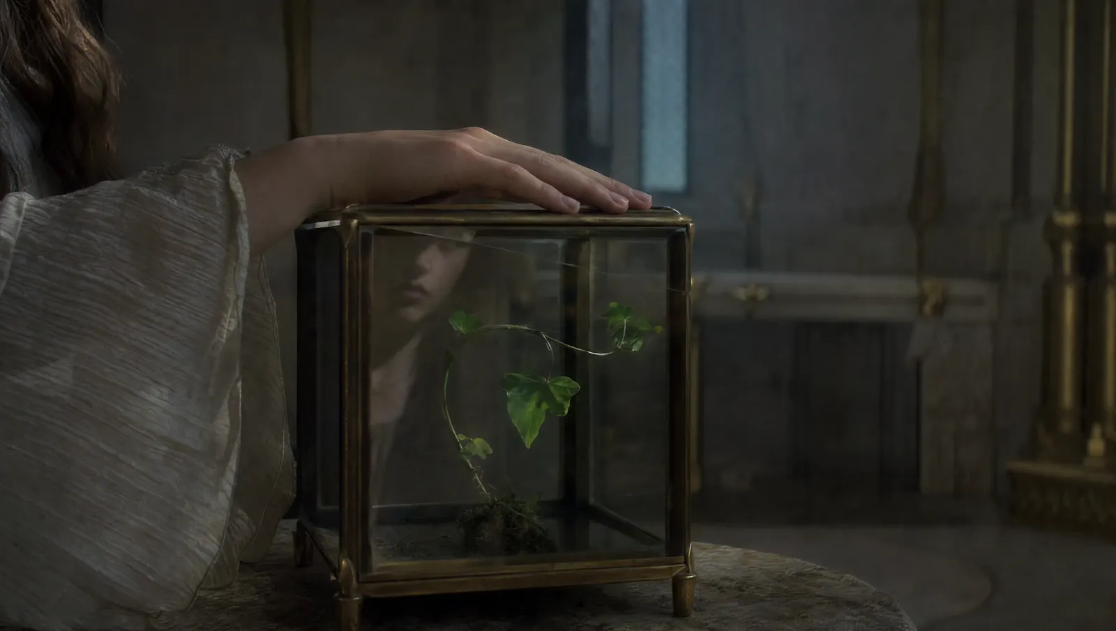 A hand rests on a glass case holding a single living fern